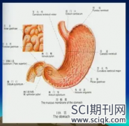 胃肠临床研究论文发表的sci杂志