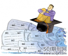 sci编辑要求修改语言是怎么回复