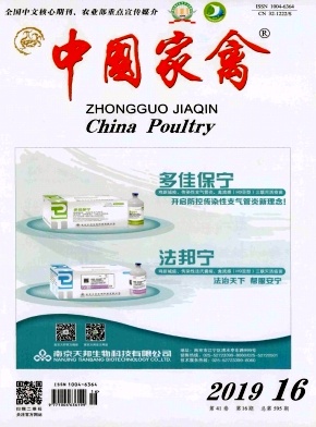 中国家禽
